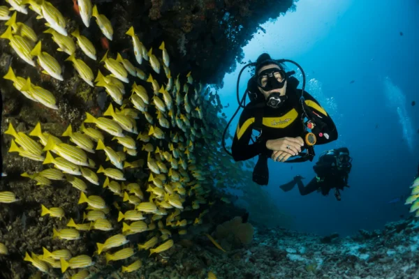 Beginner scuba diver exploring coral reef in the Red Sea
