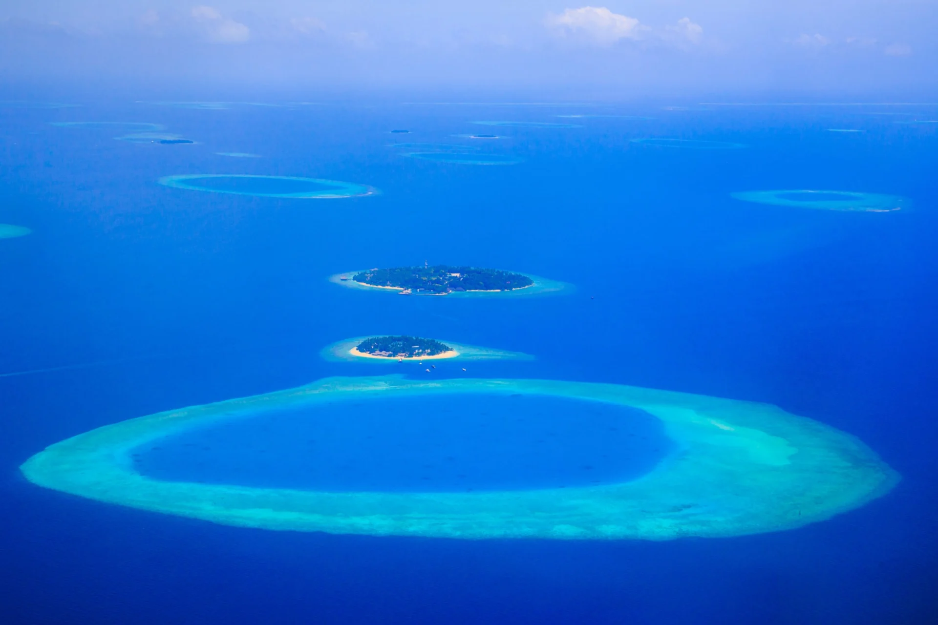 Emocean Travel trip photograph — Maldiverne SPECIAL – Sydlige hajer